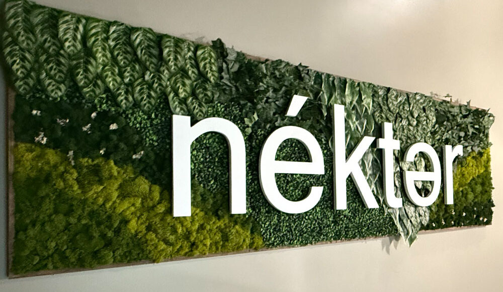 Nekter Juice Bar logo surrounded by vibrant green foliage, showcasing Kinetic Builders Corp's tenant build-out expertise in the wellness industry.